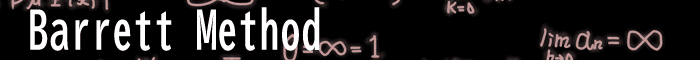 バーネット法(Barrett Method)